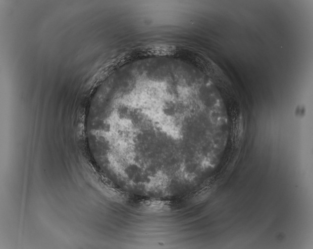 X0000114440553200911131518