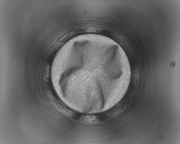 X0000114440554200911131518