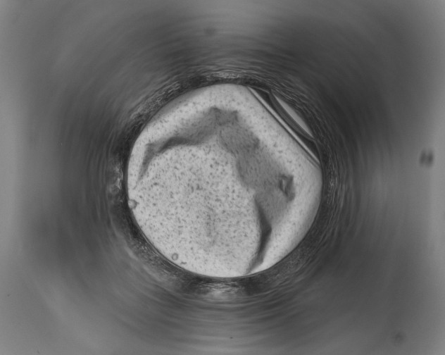 X0000114440555200911131518