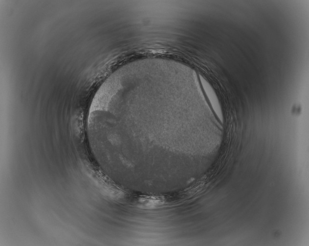 X0000114440559200911131518