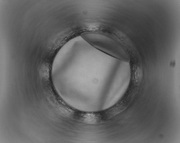 X0000114440562200911131518