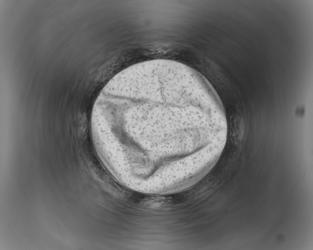 X0000114440563200911131518