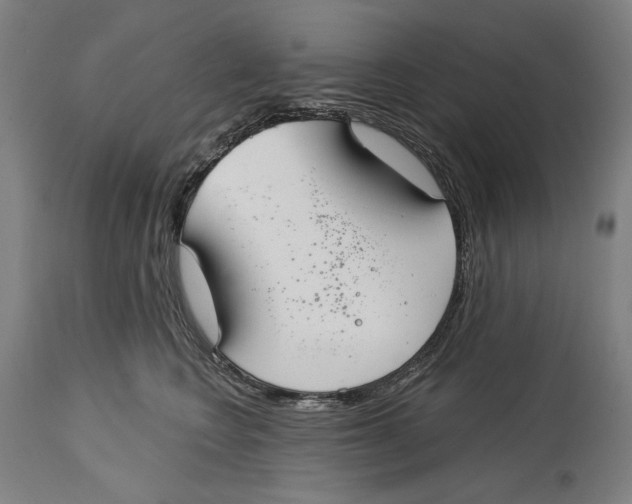 X0000114440566200911131518