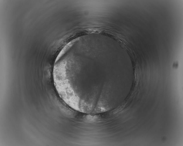 X0000114440570200911131518