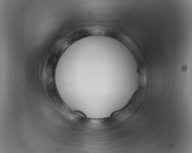 X0000114440573200911131518