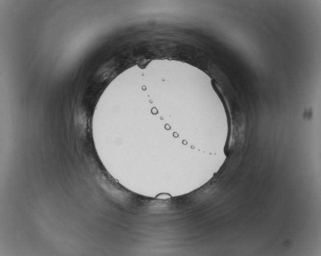 X0000114440574200911131518