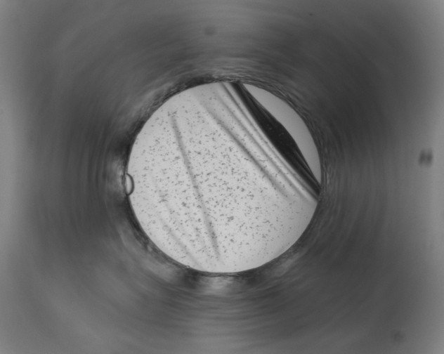 X0000114440575200911131518