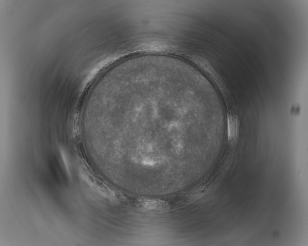 X0000114440579200911131517