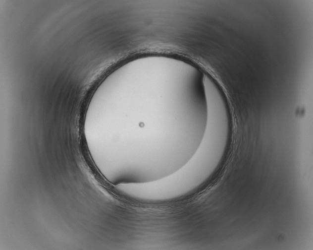 X0000114440581200911131517