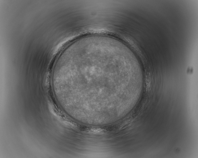 X0000114440583200911131517