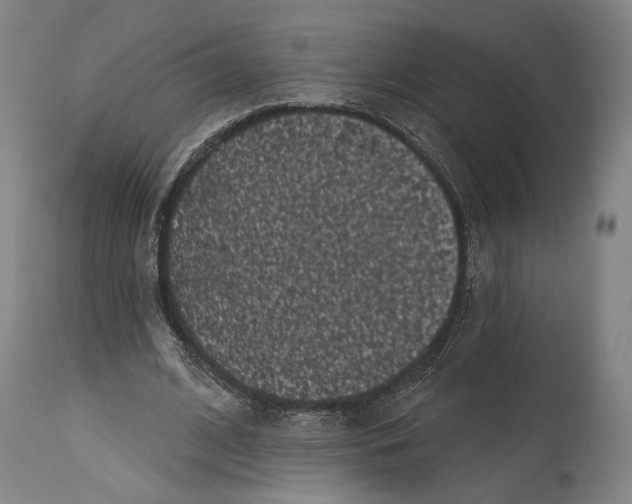 X0000114440584200911131517