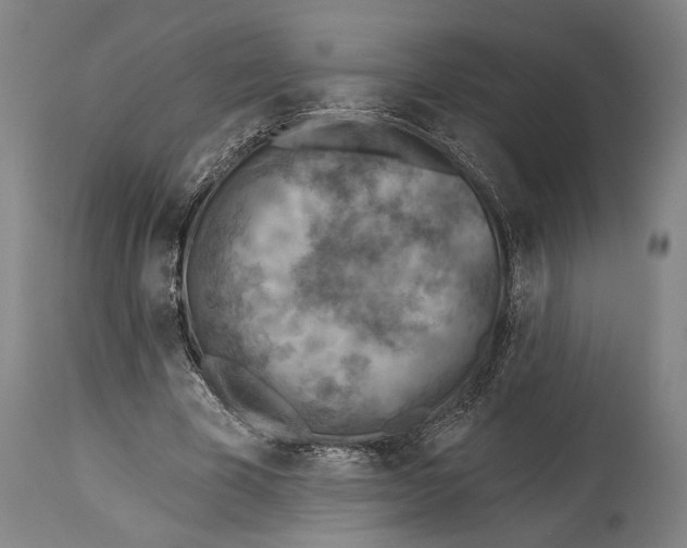 X0000114440585200911131517