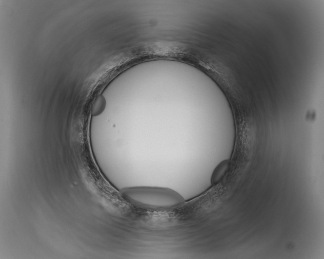 X0000114440587200911131517