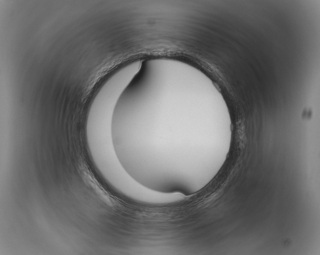 X0000114440589200911131517