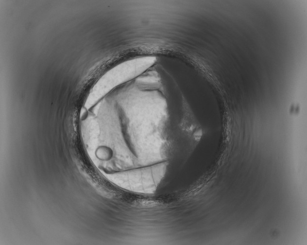 X0000114440590200911131517