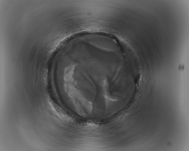 X0000114440592200911131517