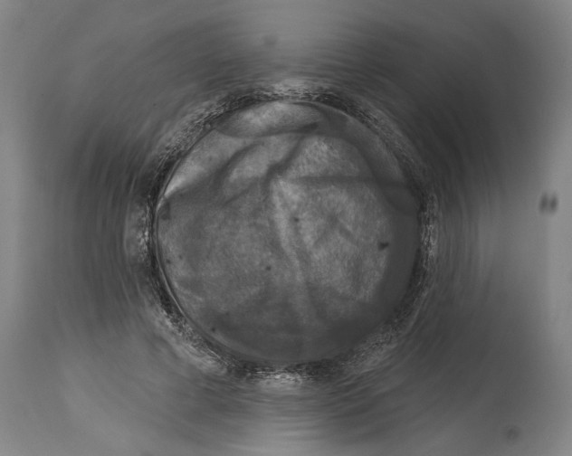 X0000114440593200911131517