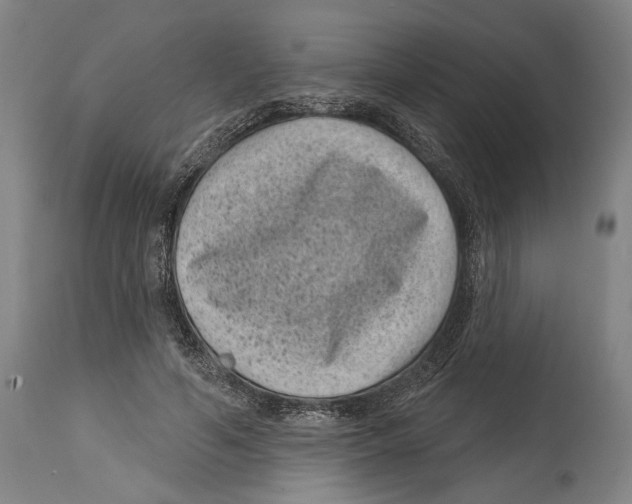 X0000114440594200911131517