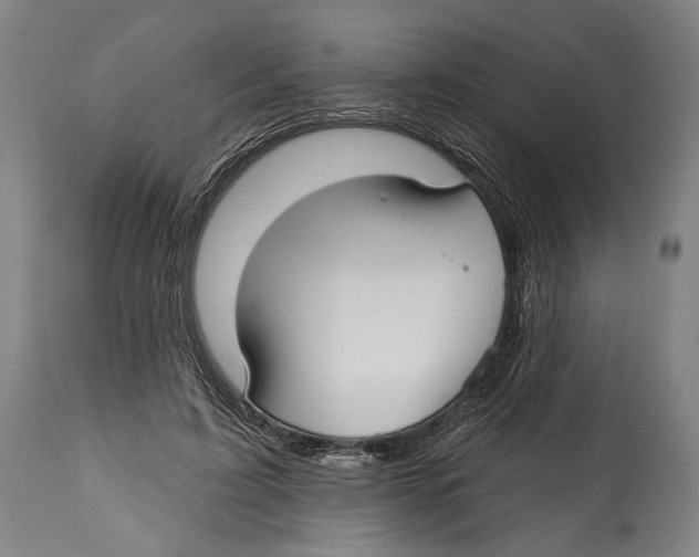 X0000114440595200911131517