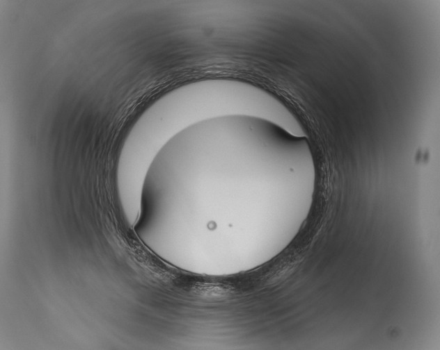 X0000114440597200911131517