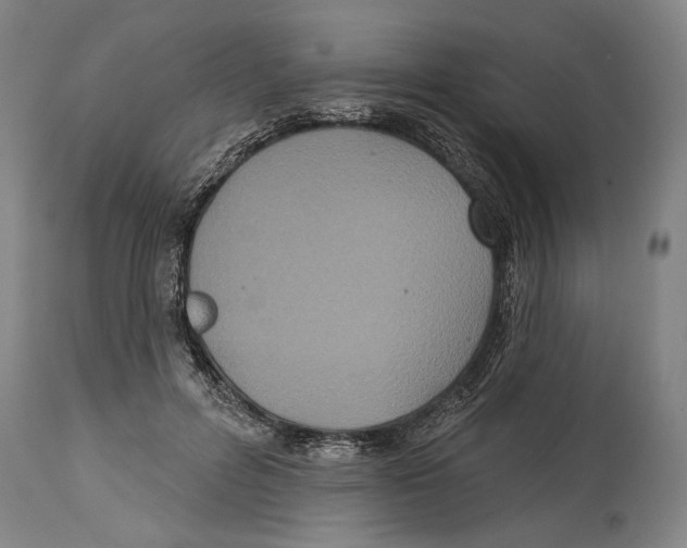 X0000114440600200911131517