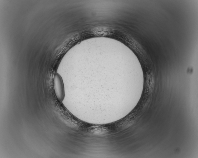 X0000114440601200911131517