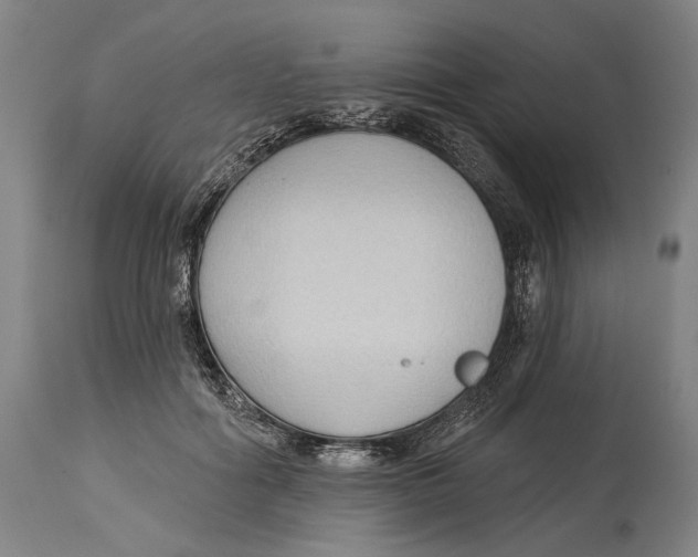 X0000114440602200911131517