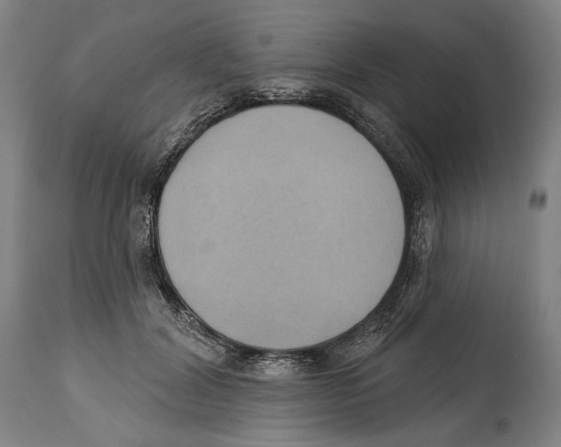 X0000114440604200911131517