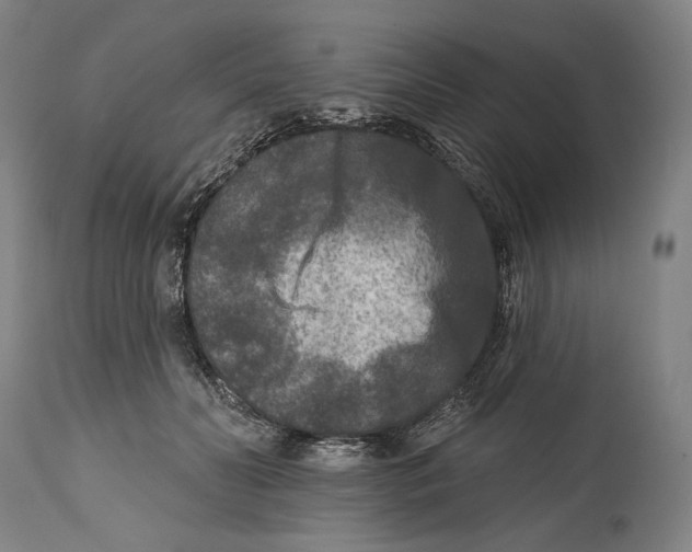 X0000114440606200911131517