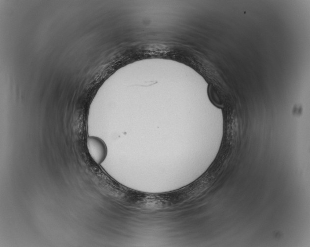 X0000114440608200911131517