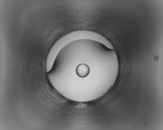 X0000114440609200911131517