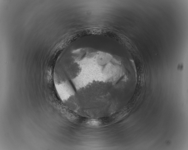 X0000114440610200911131517