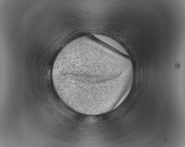 X0000114440613200911131517