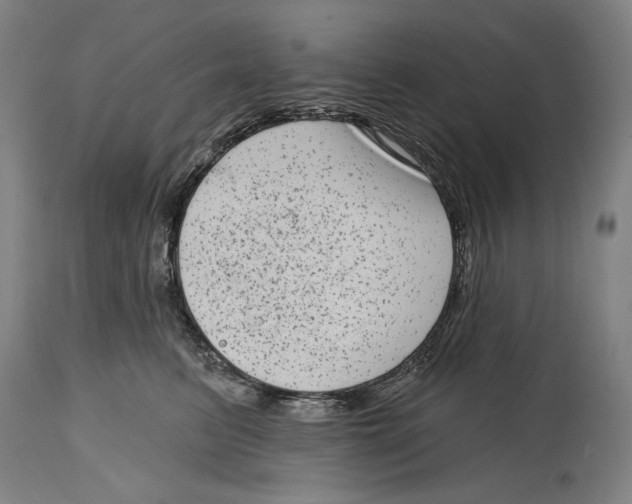 X0000114440615200911131517