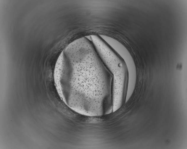 X0000114440617200911131517