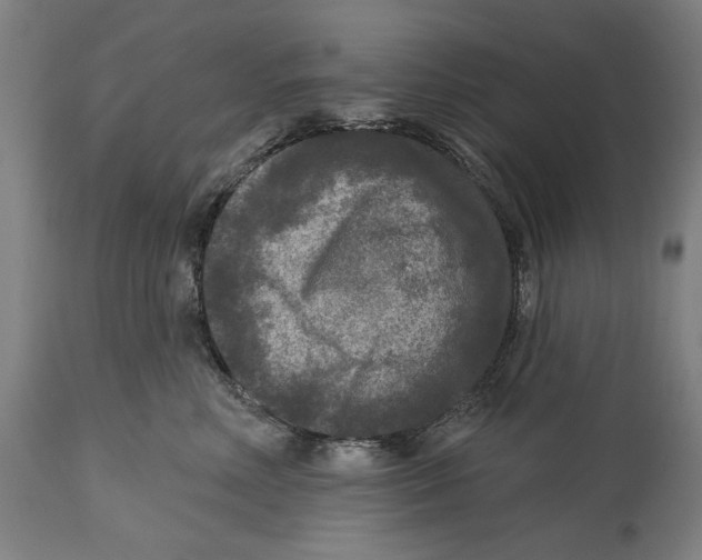 X0000114440618200911131517