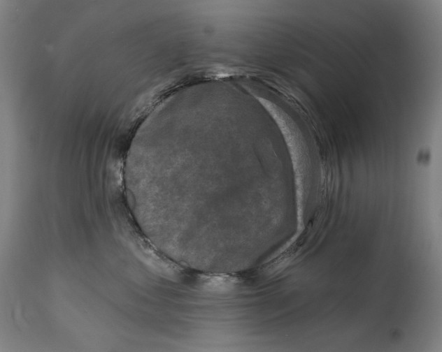 X0000114440621200911131517