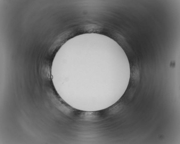 X0000114440622200911131517