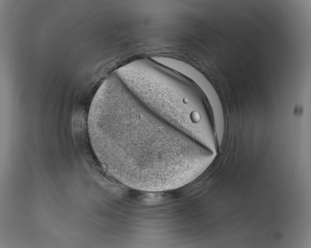 X0000114440623200911131517