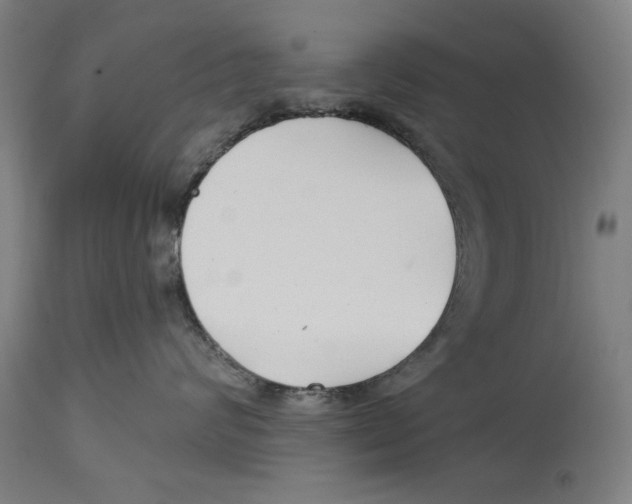 X0000114440624200911131517