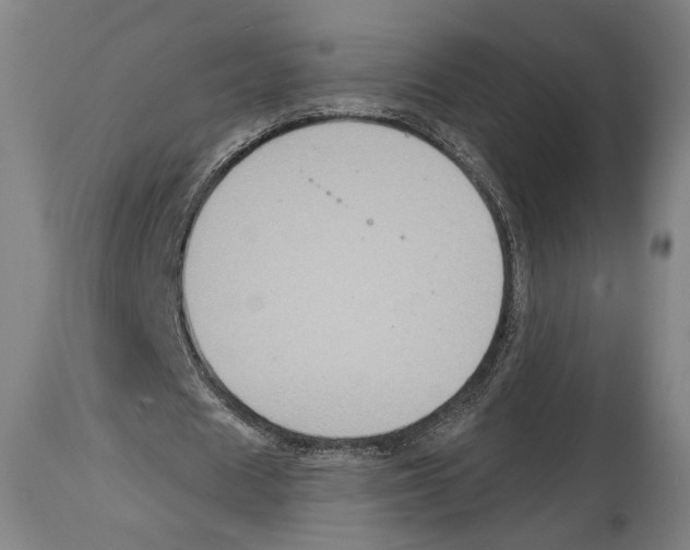 X0000114440625200911131516