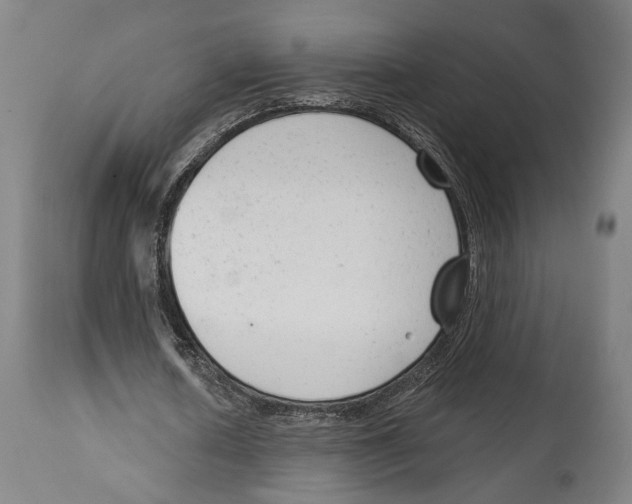 X0000114440626200911131516