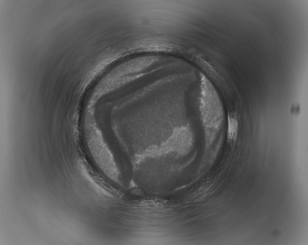 X0000114440627200911131516