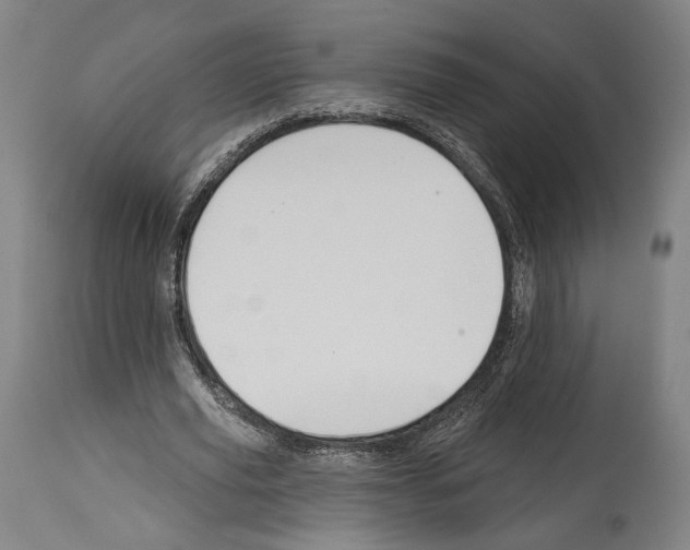 X0000114440629200911131516