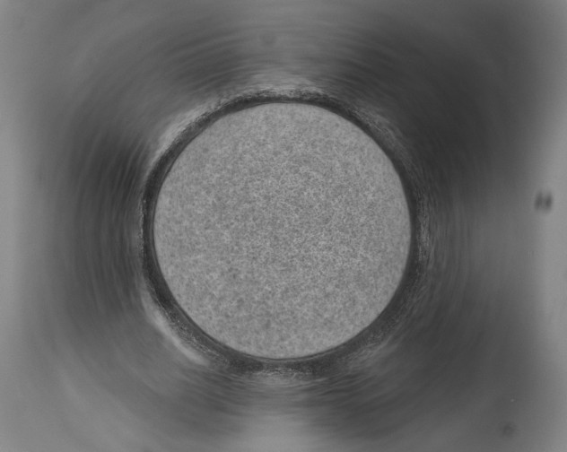 X0000114440630200911131516