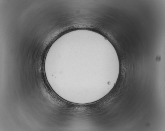 X0000114440631200911131516