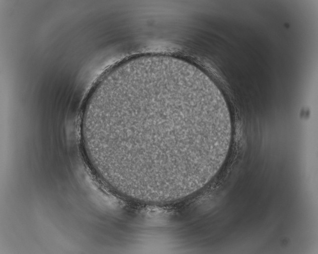 X0000114440632200911131516