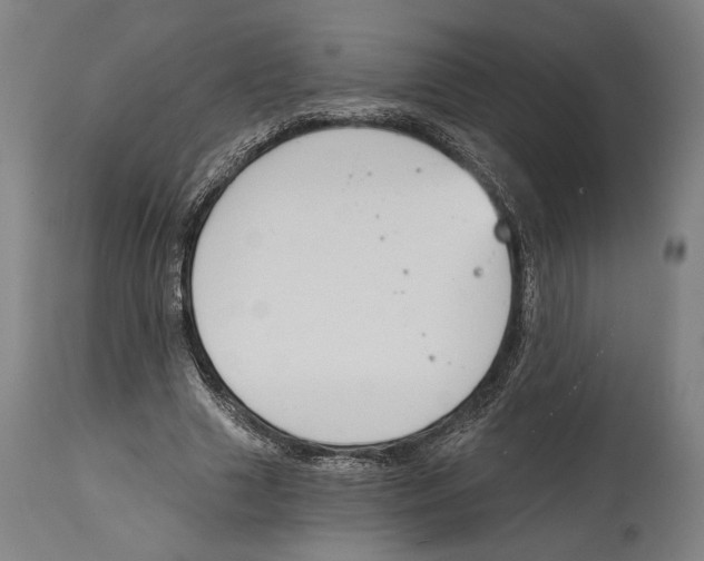 X0000114440633200911131516