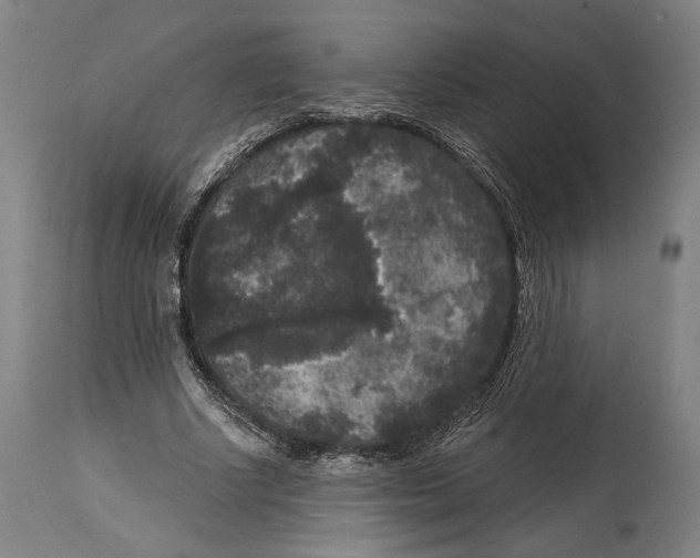 X0000114440634200911131516