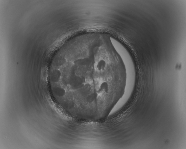 X0000114440637200911131516